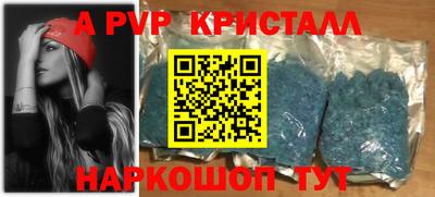 СК Новодвинск