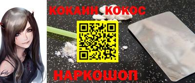 СК Новодвинск
