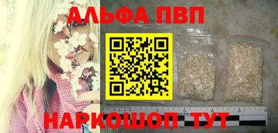 СК Новодвинск