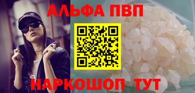 СК Новодвинск