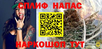 СК Новокубанск