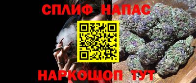 СК Новодвинск