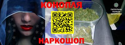 СК Новодвинск