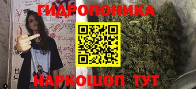 СК Новодвинск