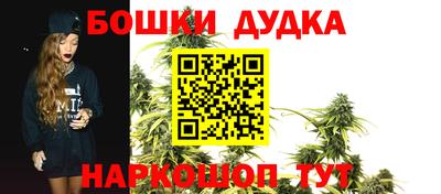 СК Новокубанск