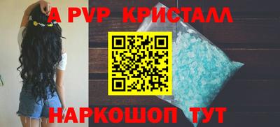 СК Новодвинск