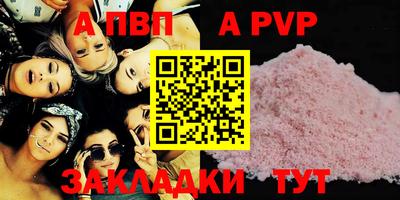 СК Новодвинск